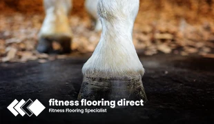 Equestrian Flooring